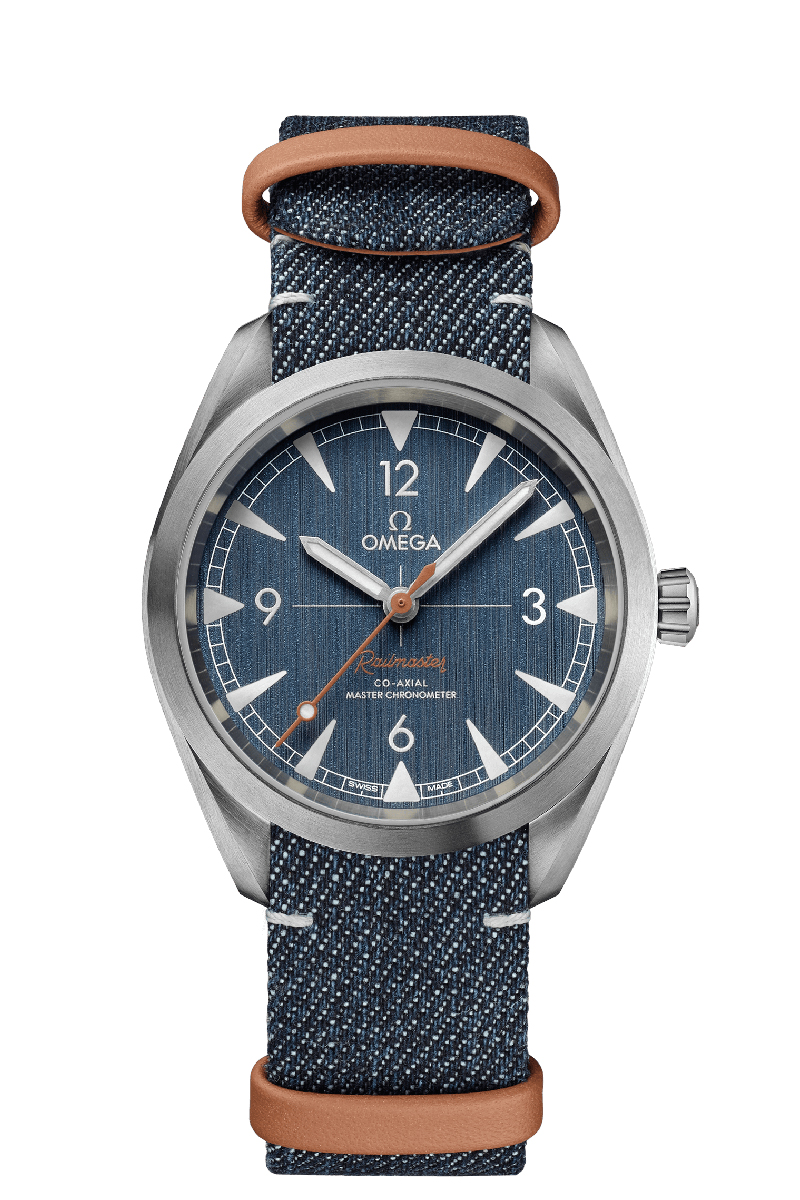 Seamaster Railmaster - imagen 1
